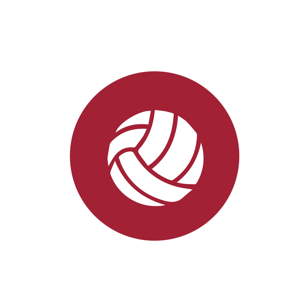Coed Volleyball Camp, Grades 1-8